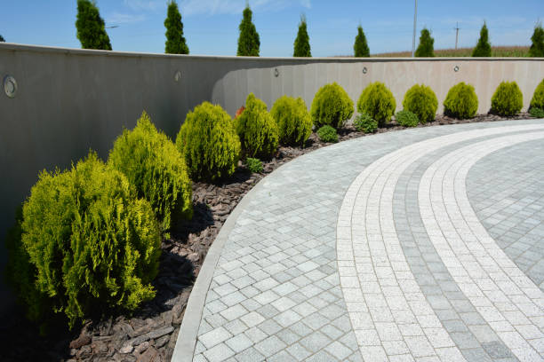 Best Driveway Pavers Near Me  in Norton Center, MA